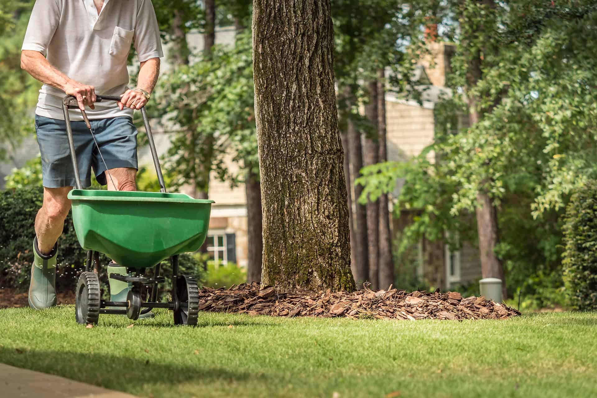 prep your lawn for the summer