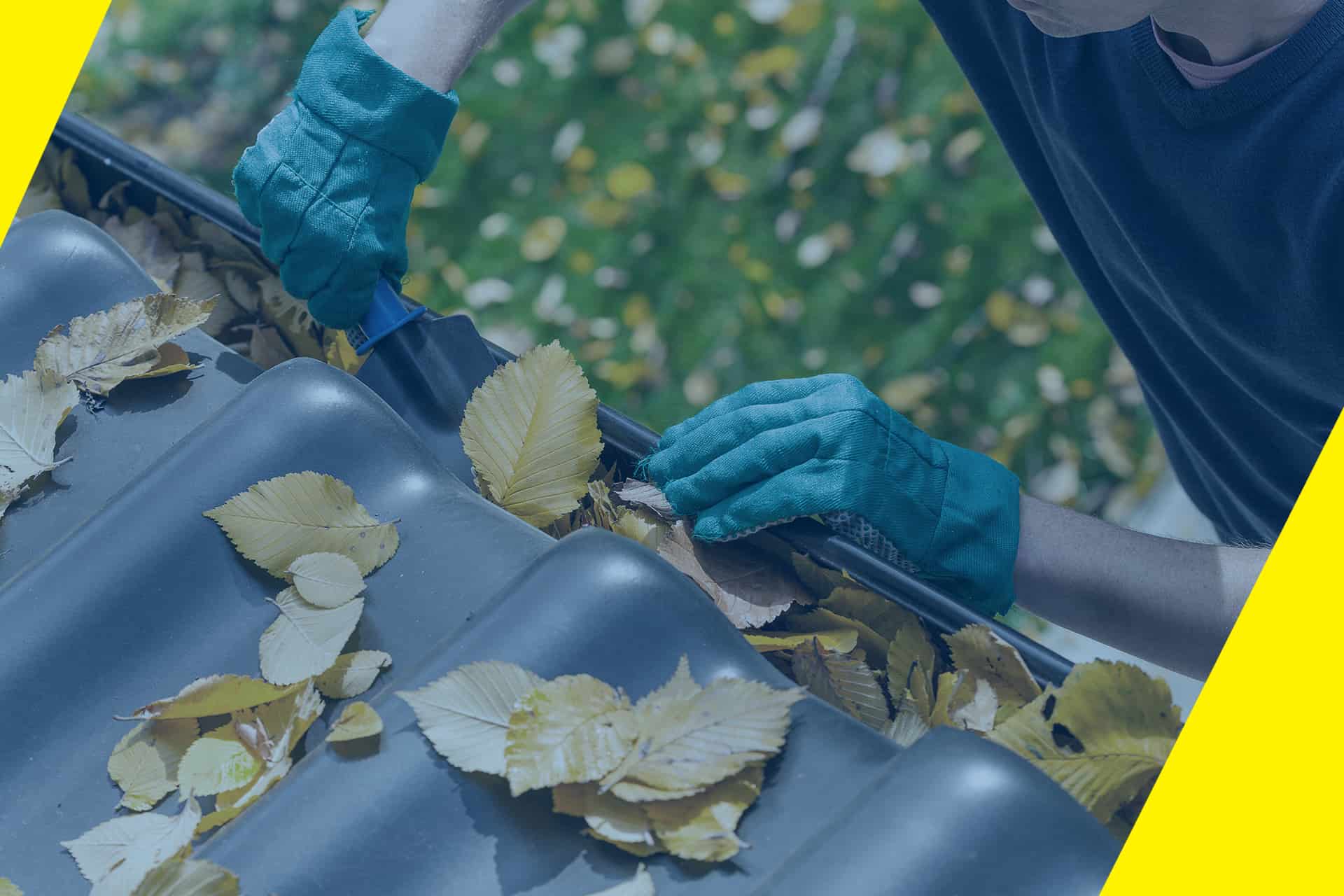 Cleaning Gutters